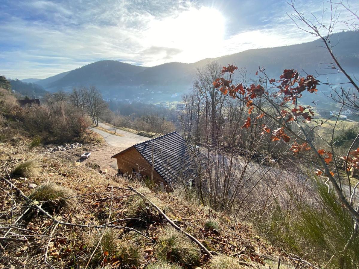 Les Chalets Des Capucines & Jacuzzi Privatif Rochesson Bagian luar foto